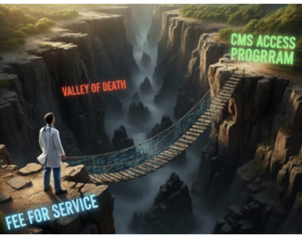 Why Going It Alone on CMS ACCESS Is Risky—And Costly